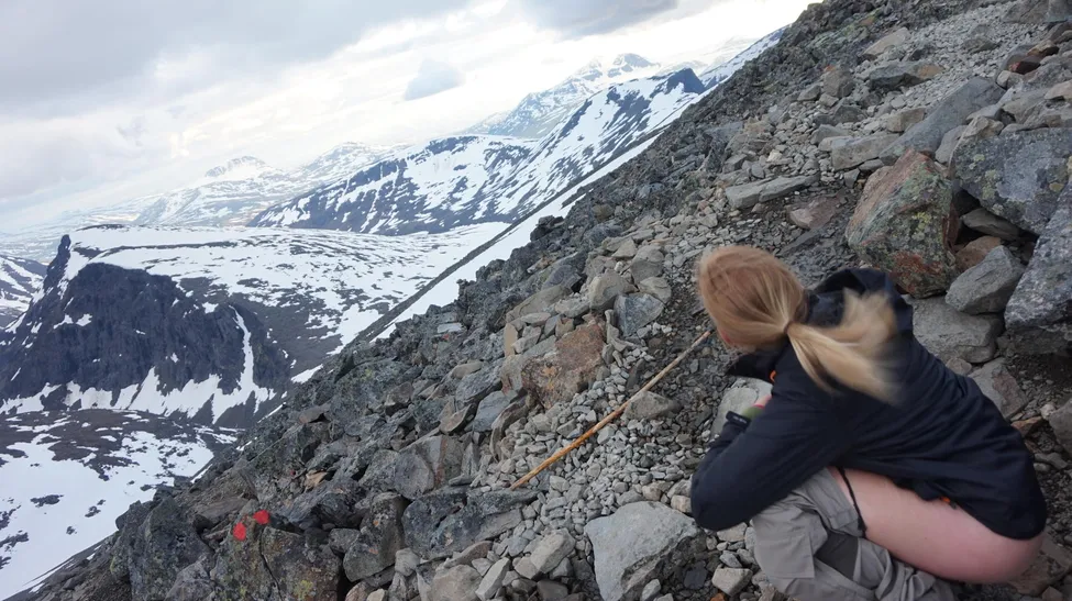 Klicka för att förstora