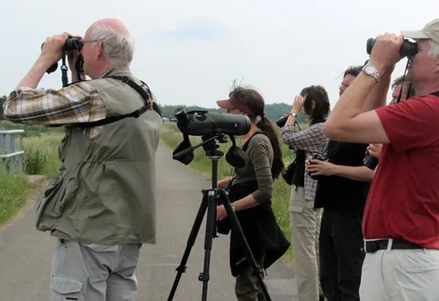 BirdLlife Sverige blir ny medlem i Svenskt Friluftsliv