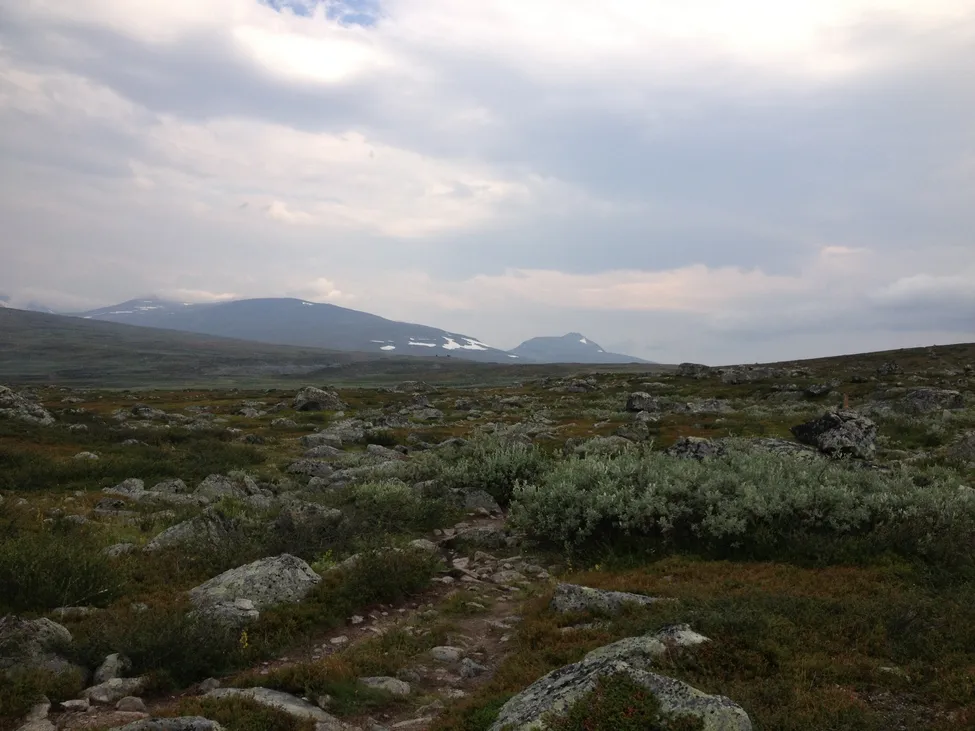 Klicka för att förstora