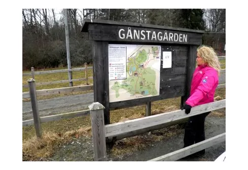 Vandring på ny rundslinga av Upplandsleden i Gånsta (Enköping)