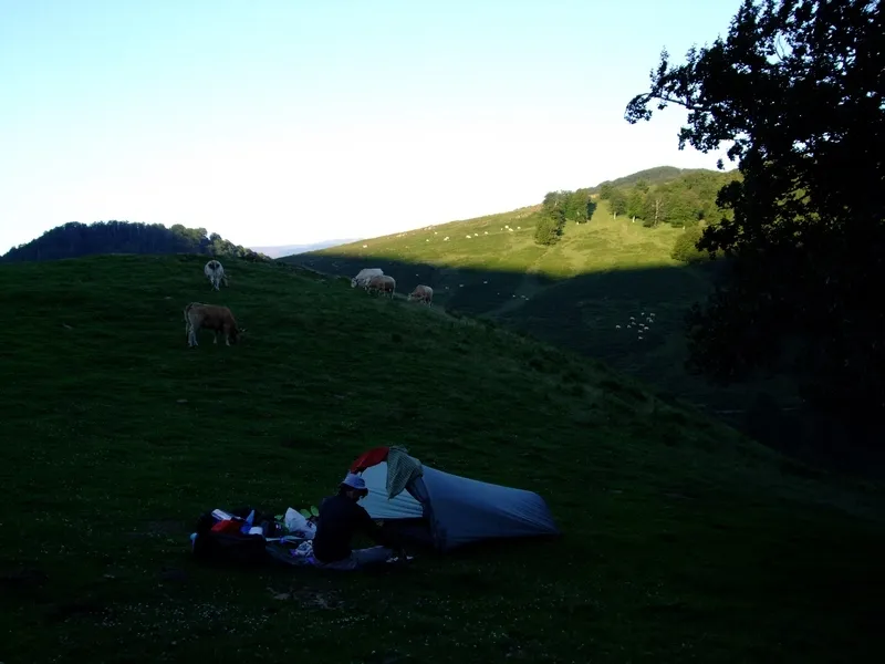 Klicka för att förstora