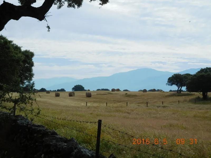 Klicka för att förstora