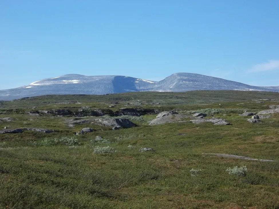 Klicka för att förstora
