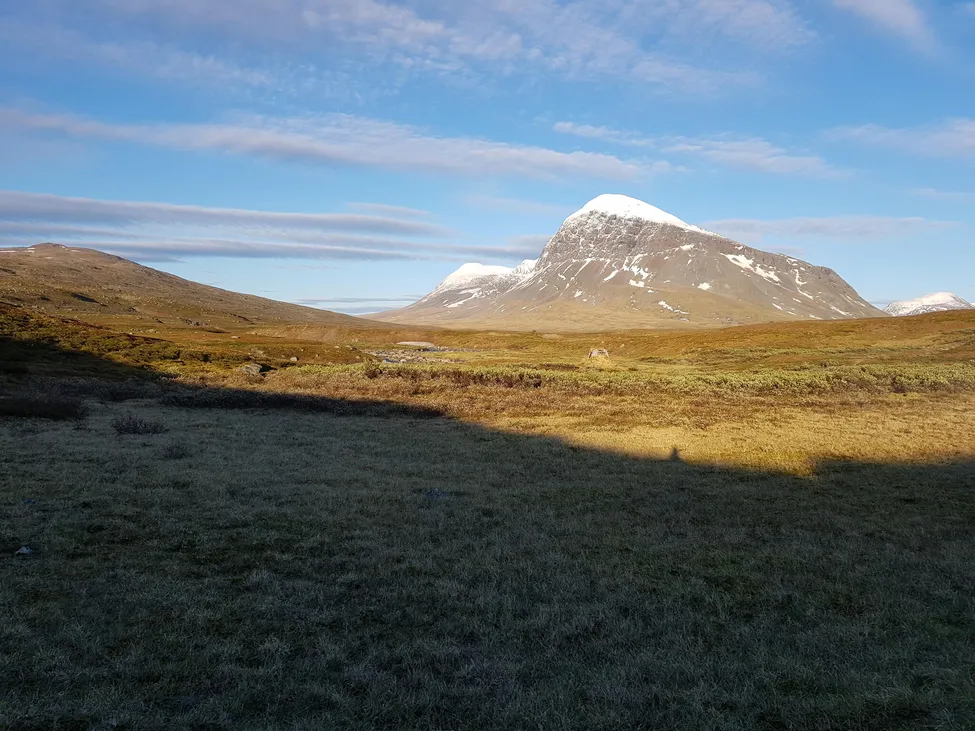 Klicka för att förstora