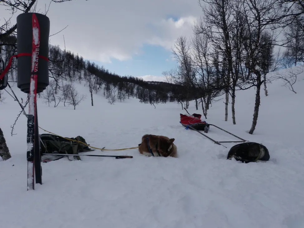 Klicka för att förstora