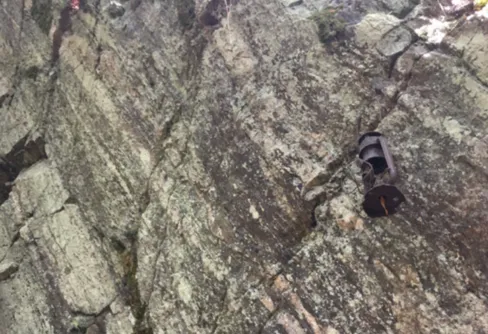 Konstiga saker i skogen del 2