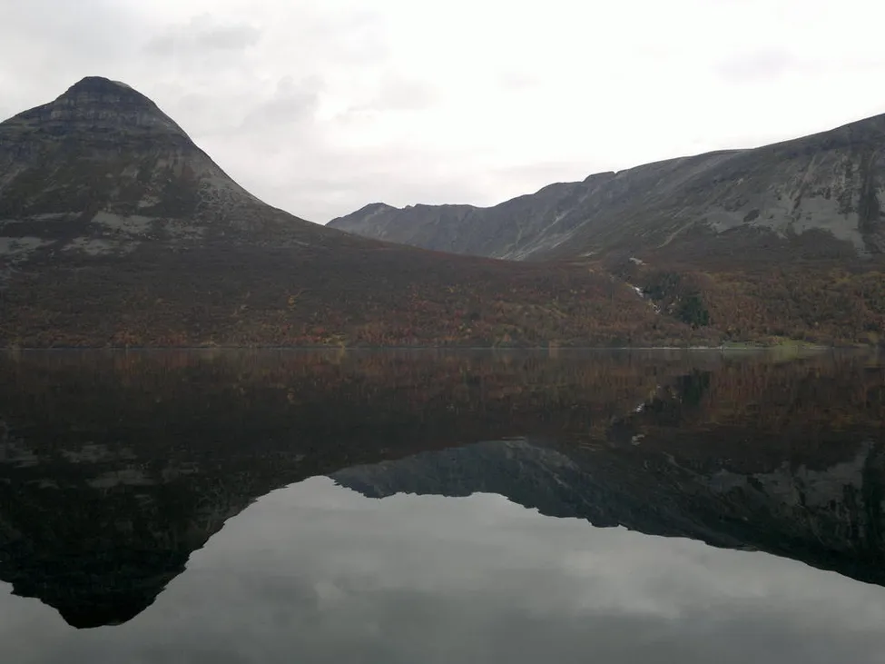 Klicka för att förstora