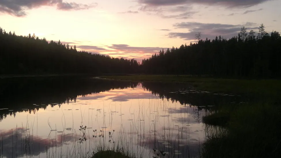 Klicka för att förstora