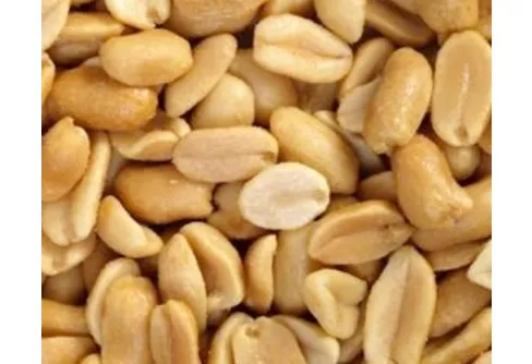 Salta blåbärskakor