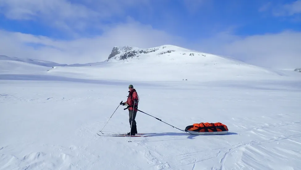 Klicka för att förstora