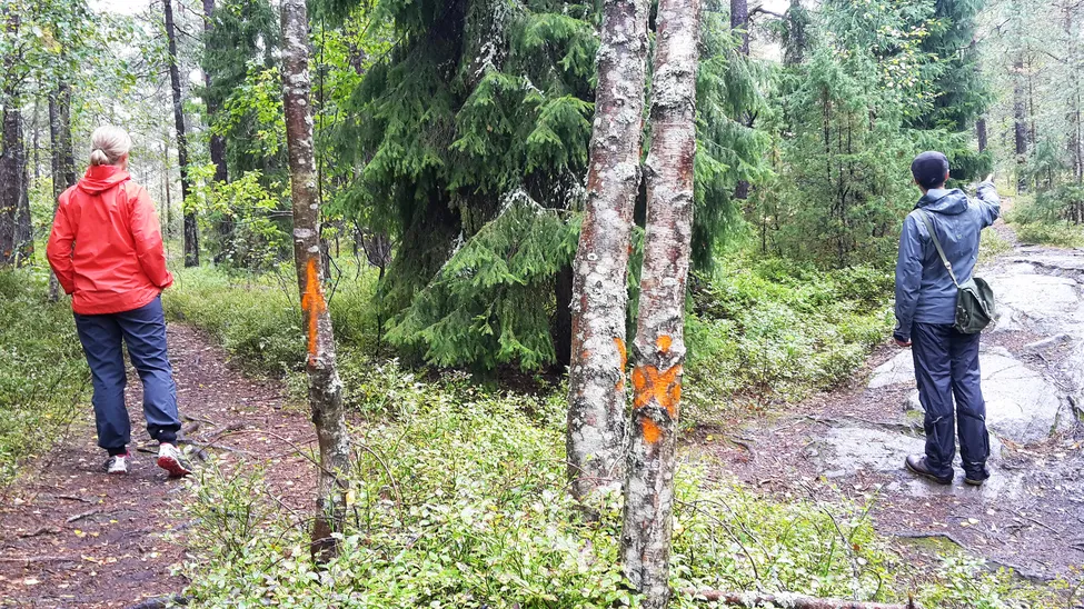 Klicka för att förstora