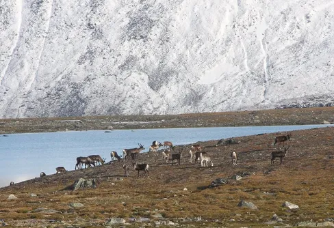 Septembervandring (4): Luohttoláhko och Sarvesvágge