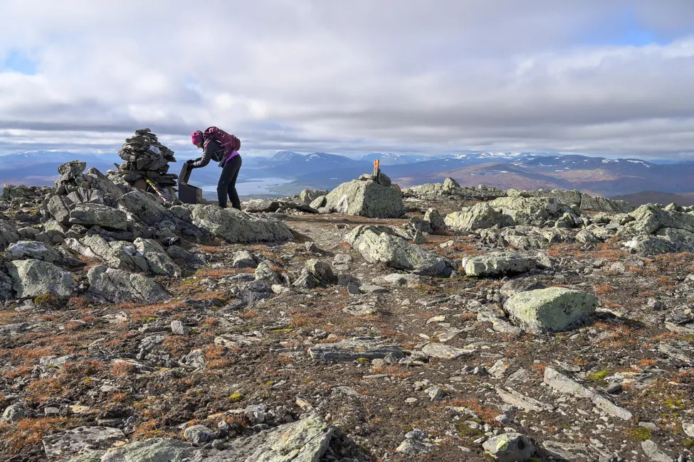 Klicka för att förstora