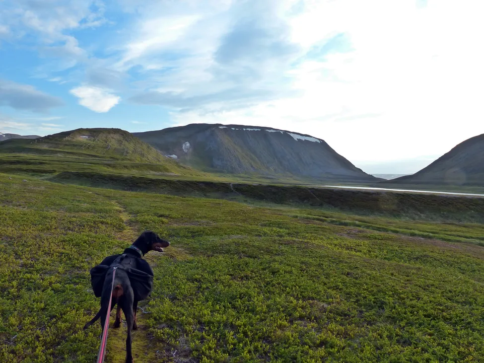 Klicka för att förstora