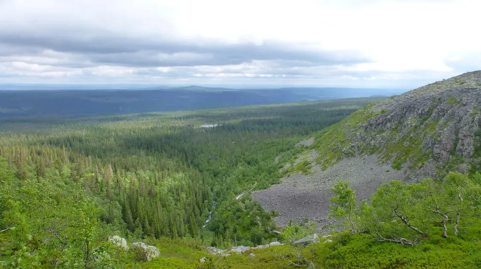Klicka för att förstora
