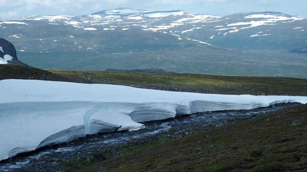 Klicka för att förstora