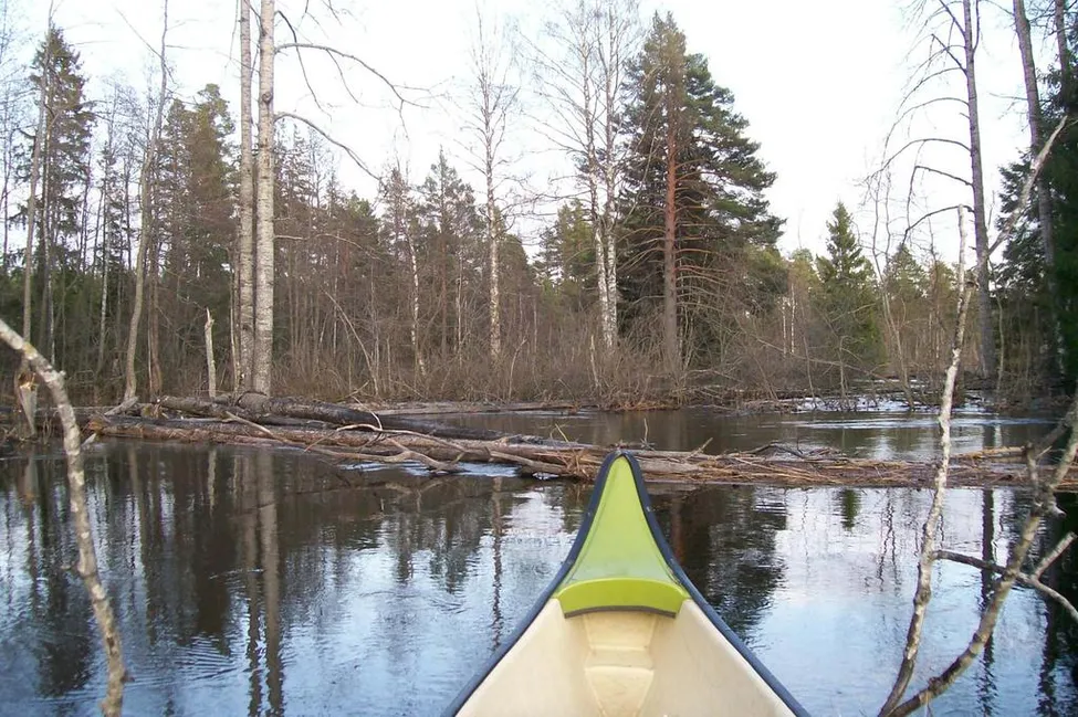 Klicka för att förstora