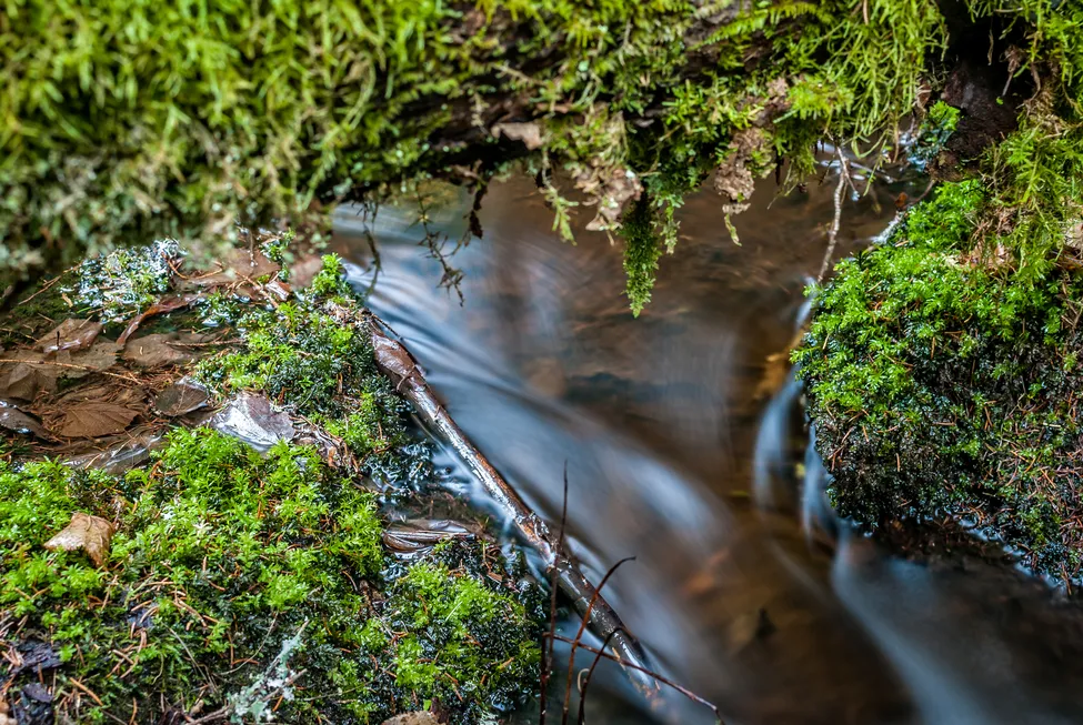 Klicka för att förstora