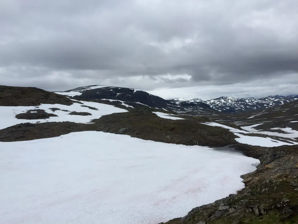 Klicka för att förstora