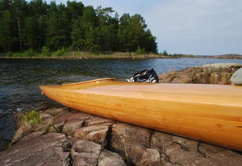 Ett blåbär bakom paddeln