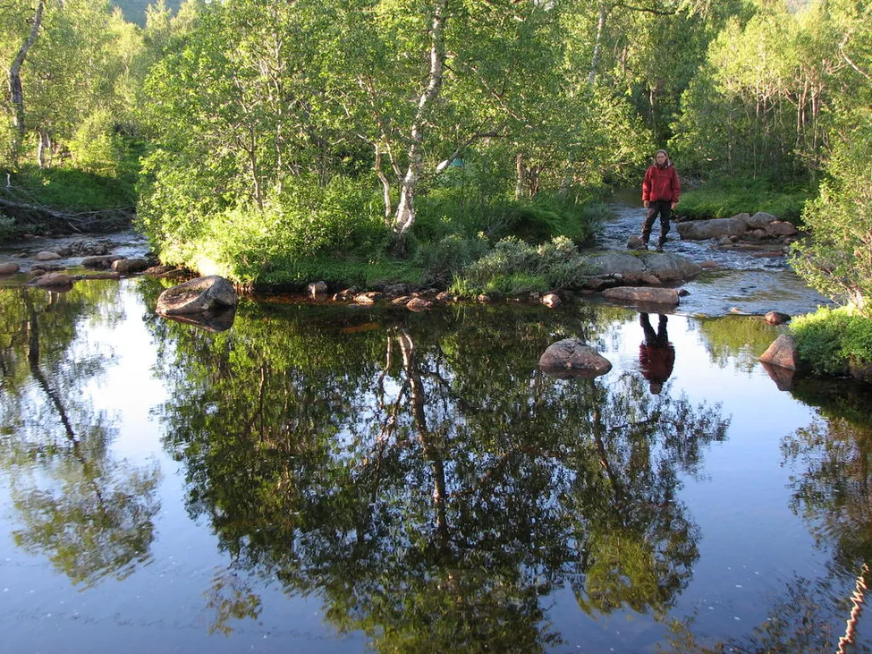 Klicka för att förstora