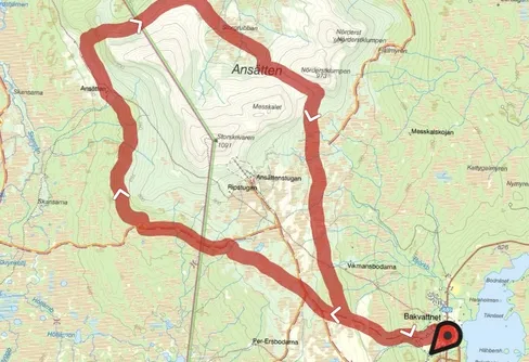 Ansätten runt på turskidor 250316