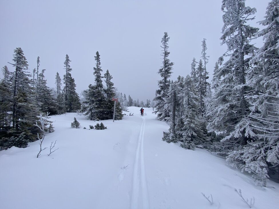 Klicka för att förstora