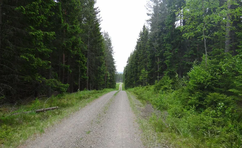 Klicka för att förstora