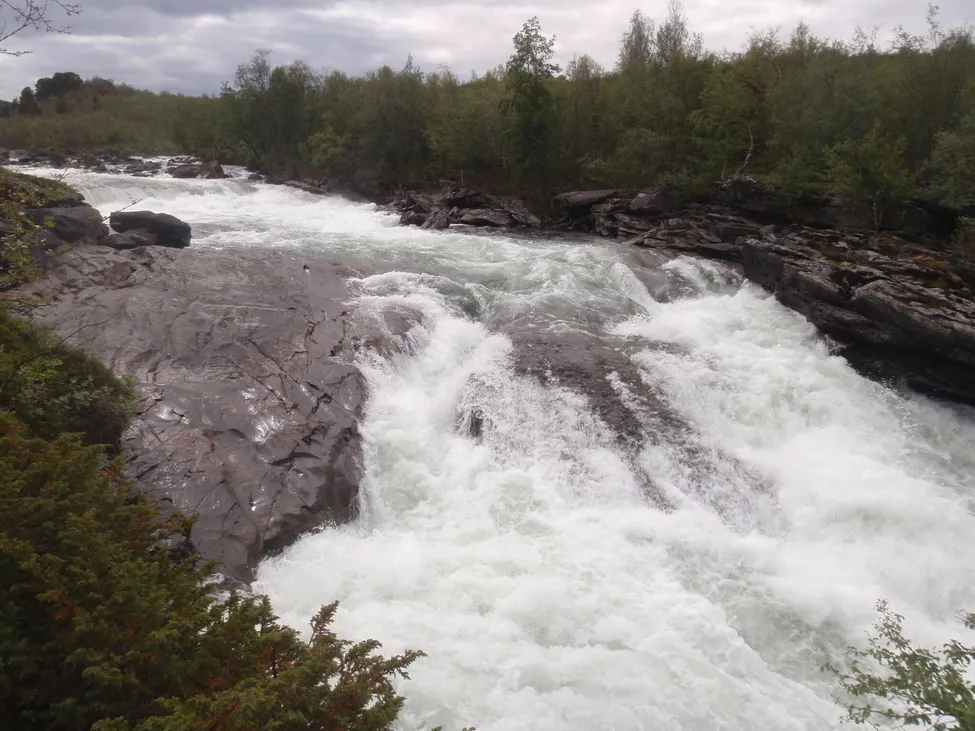 Klicka för att förstora