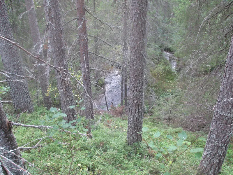 Klicka för att förstora