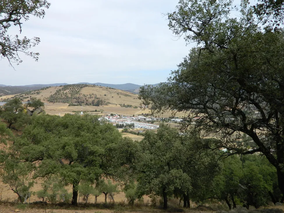 Klicka för att förstora