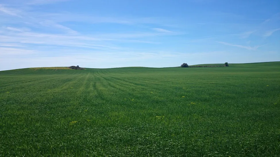 Klicka för att förstora