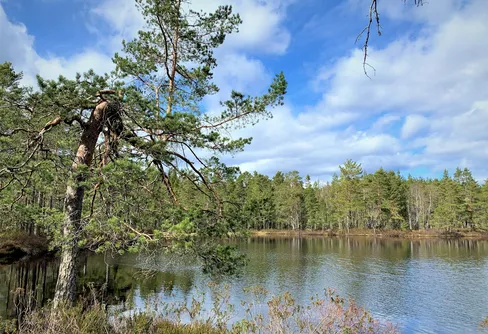 Bergslagsleden Etapp 11: Suttarboda - Lekhyttan