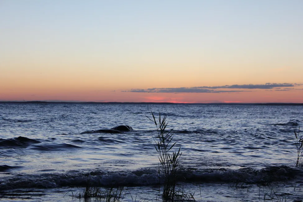 Klicka för att förstora