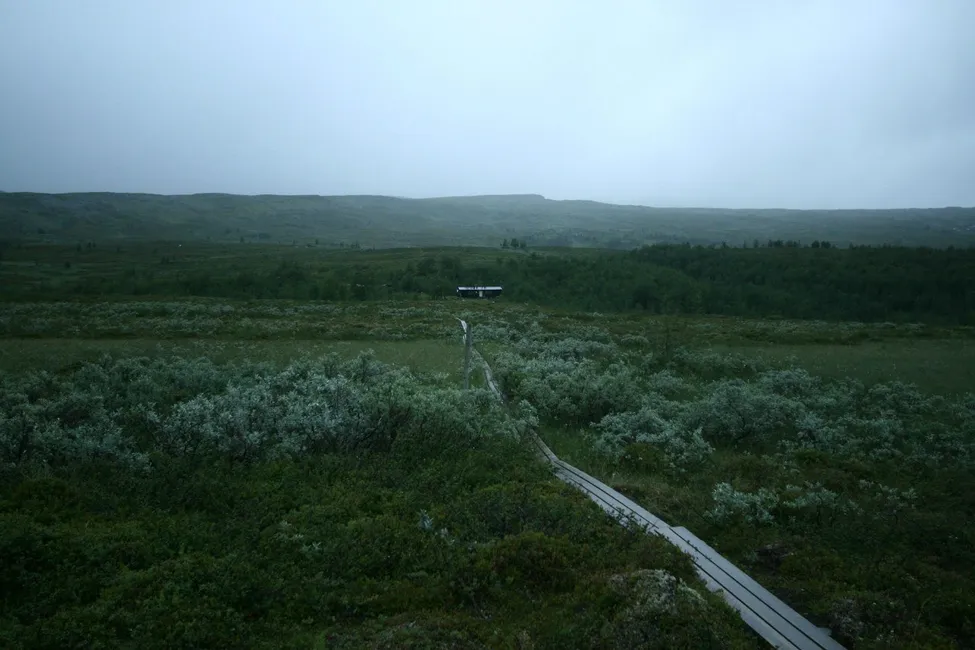 Klicka för att förstora