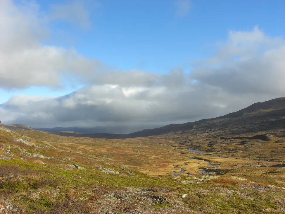 Klicka för att förstora
