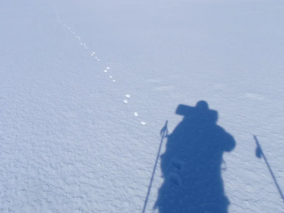 Klicka för att förstora