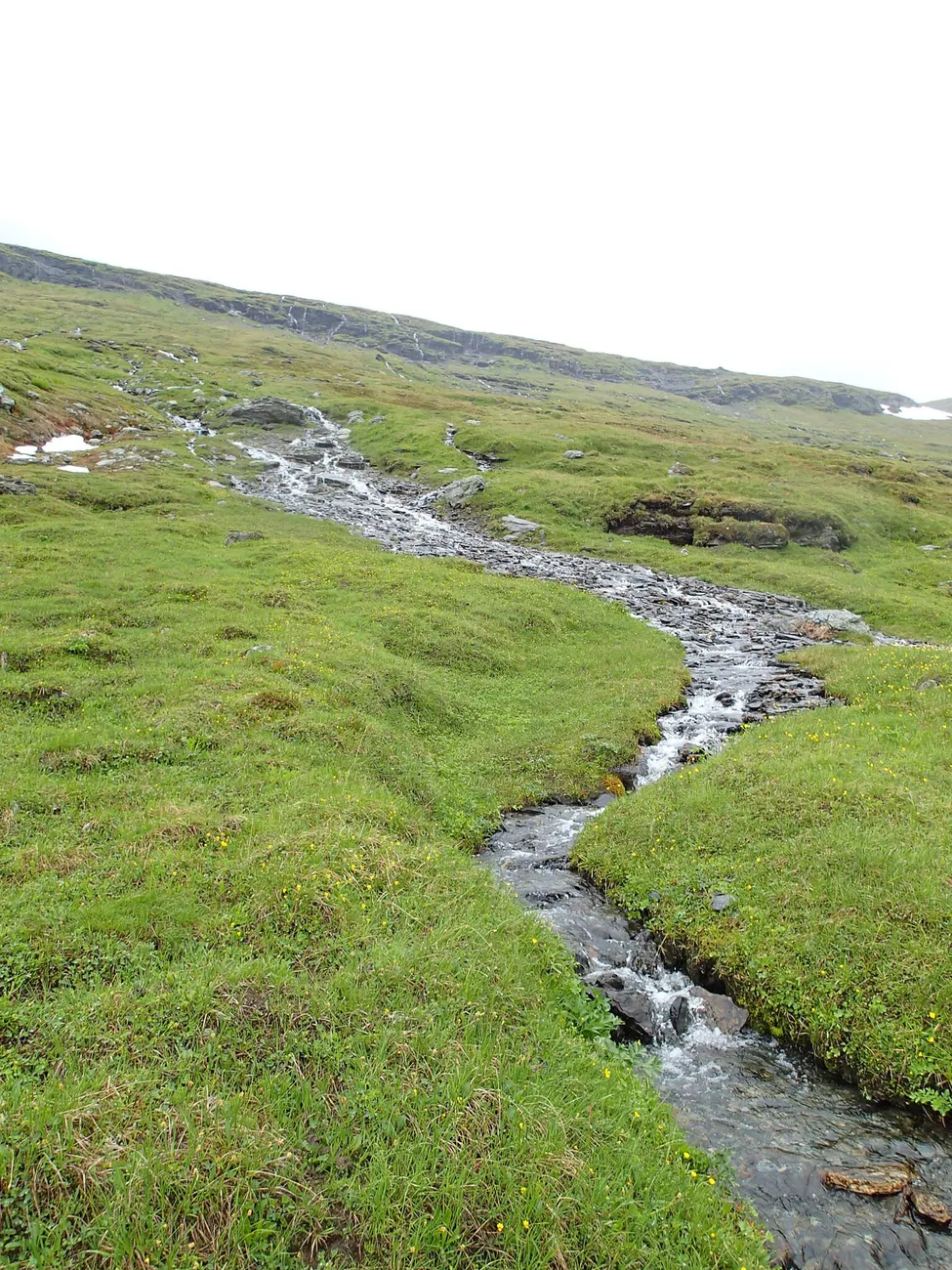 Klicka för att förstora