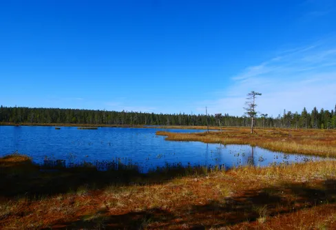 5 september - till Stuor Tjudek