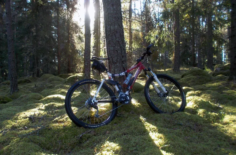 Klicka för att förstora