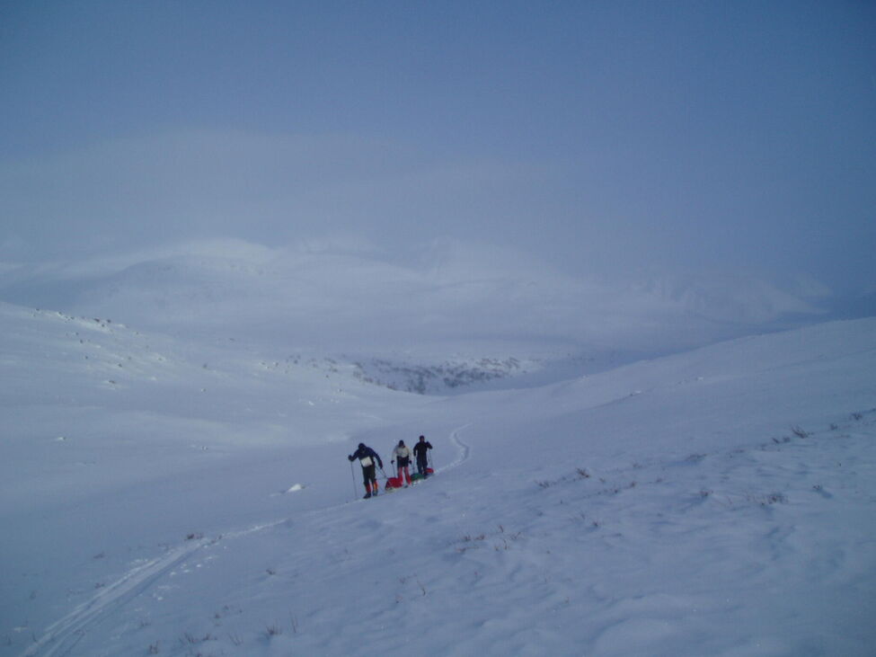 Klicka för att förstora