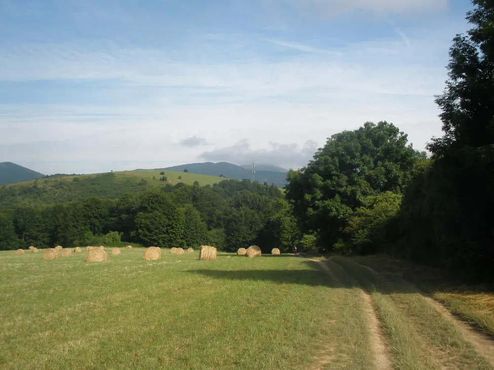 Klicka för att förstora