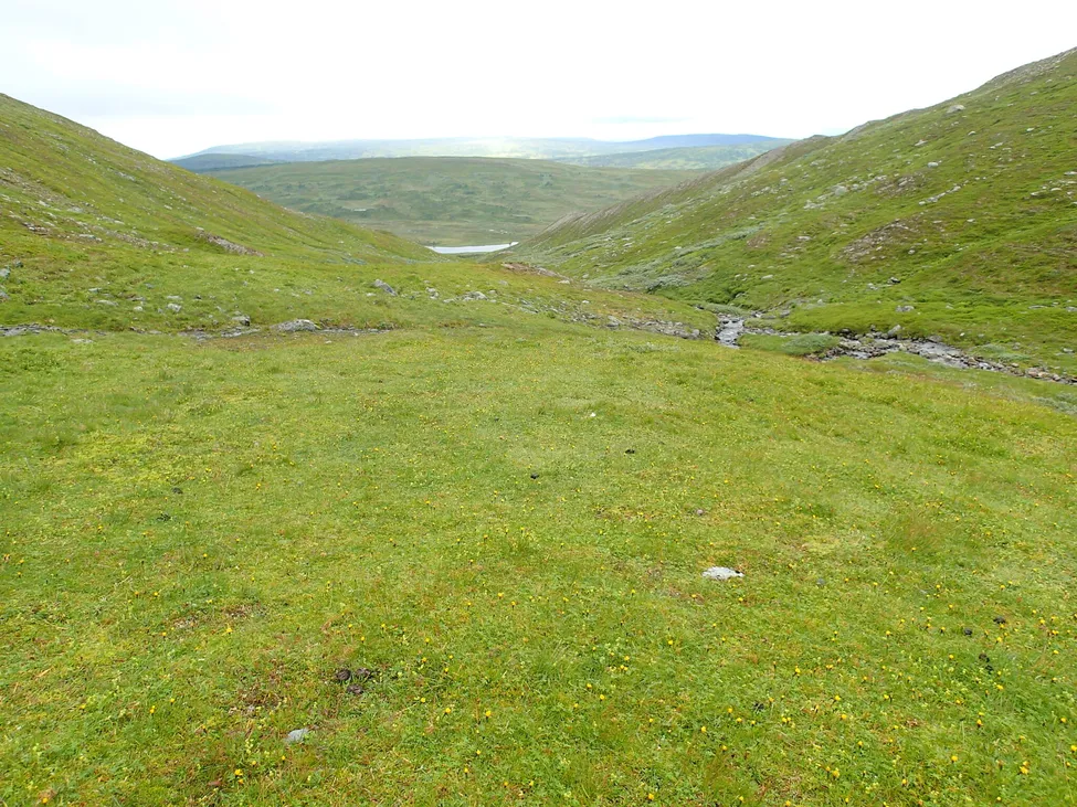 Klicka för att förstora