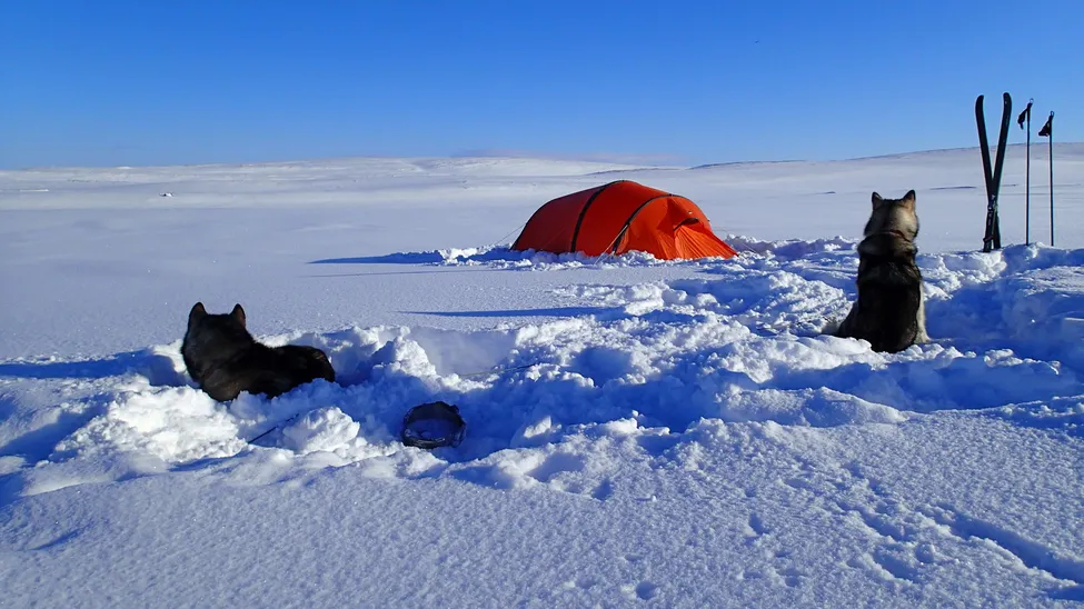 Klicka för att förstora