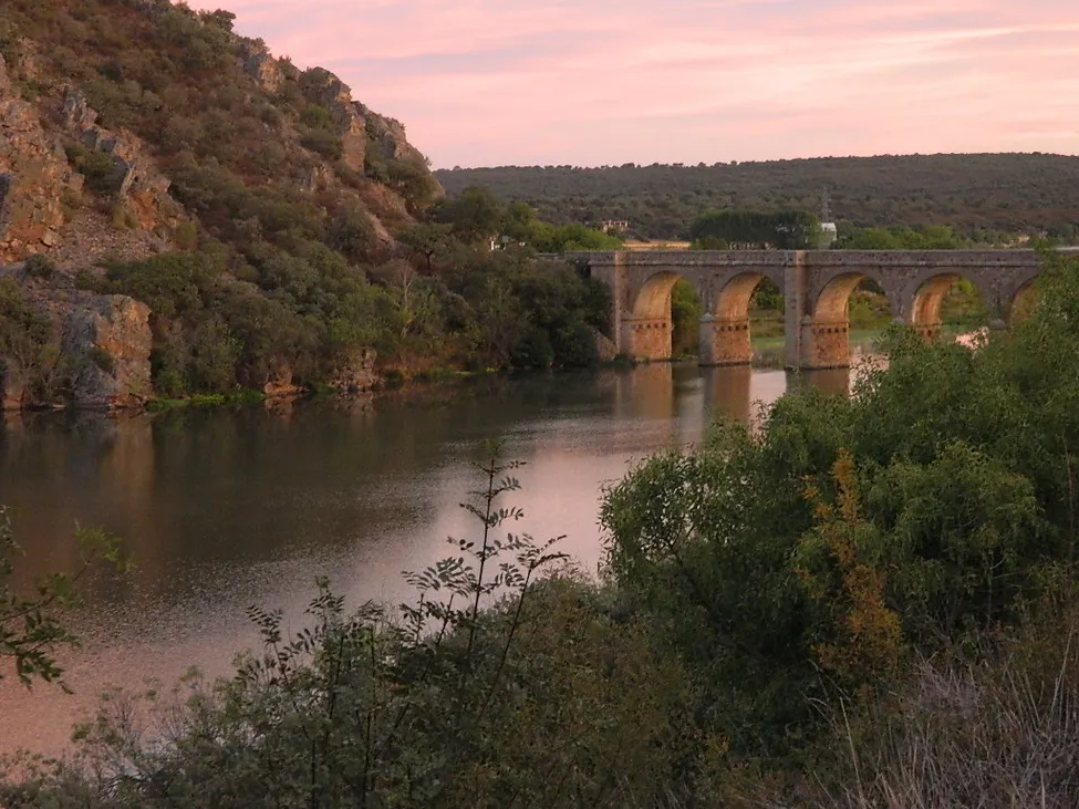 Klicka för att förstora