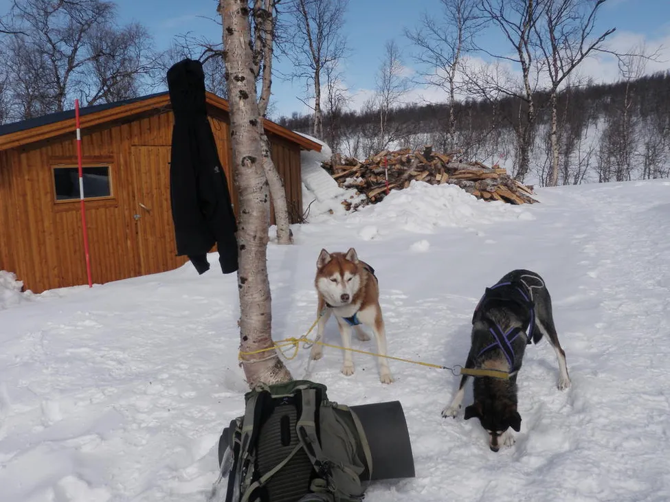 Klicka för att förstora