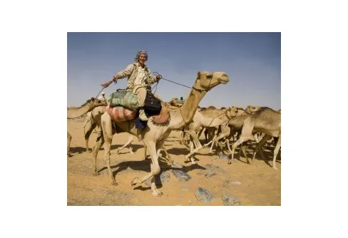 Expedition och äventyr - 3 bloggar att läsa