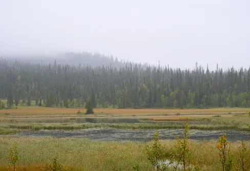 28 augusti - mot Boarek