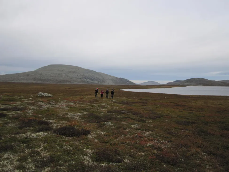 Klicka för att förstora
