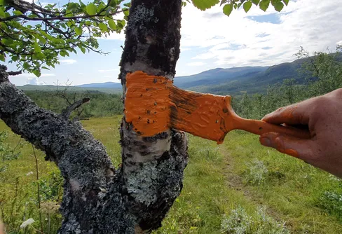 Digital invigning av Lapplandsleden 12 november